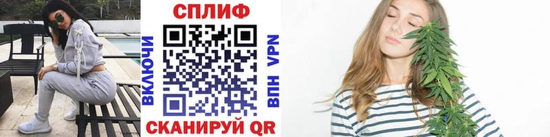  COCAIN Светлогорск