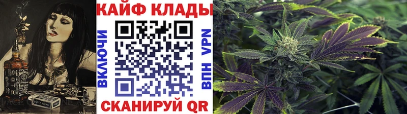 Где купить наркотики Светлогорск Амфетамин МЕГА Кокаин СОЛЬ ГАШ