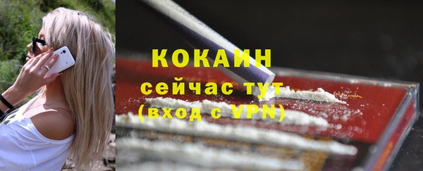 крисы Белокуриха