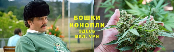 крисы Белокуриха
