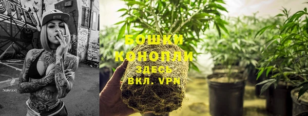 крисы Белокуриха