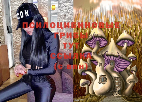 крисы Белокуриха
