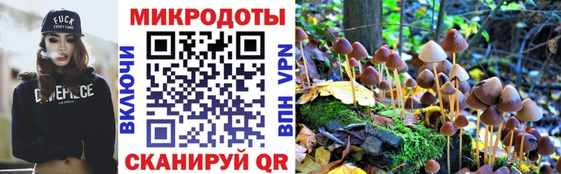 Псилоцибиновые грибы Psilocybe  Светлогорск 